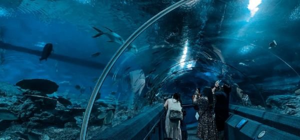 Underwater World (1)