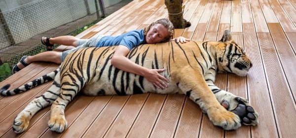 Tiger Kingdom phuket