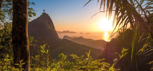 Tijuca National Forest Tour
