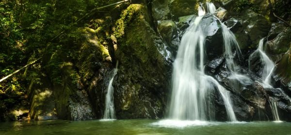 thung teao forest natural park krabi (1)