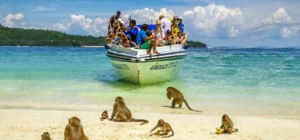 Monkey beach (1)
