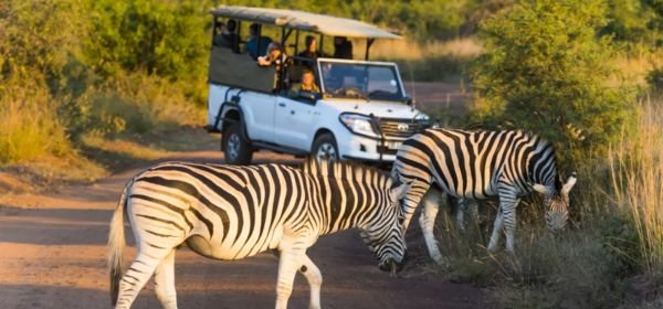 South Africa Highlights