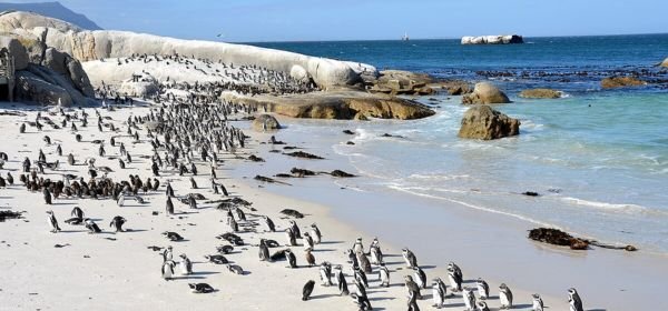 boulders beach