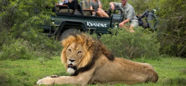 Wonders of South Africa