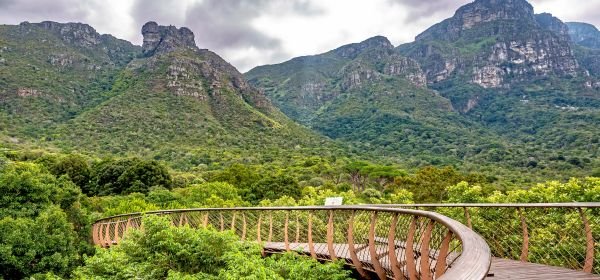 Kirstenbosch National Botanical Gardens (1)
