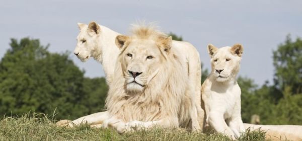 Johannesburg Zoo (2)