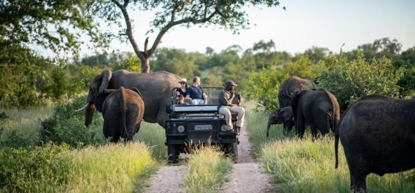 kruger national park (3)