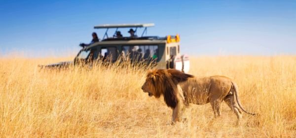 African Adventures South Africa & Kenya