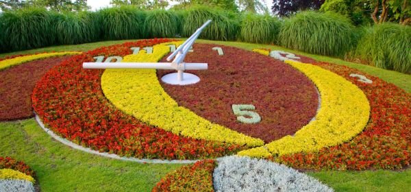 Flower Clock  (1)