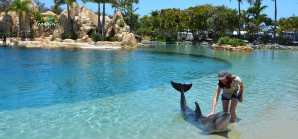 Sea World, Gold Coast