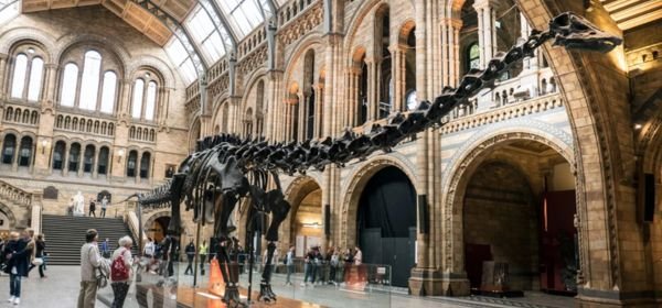 The dinosaurs of London's Natural History Museum
