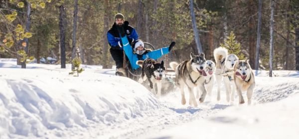 Husky Dog Sled Safari (1)