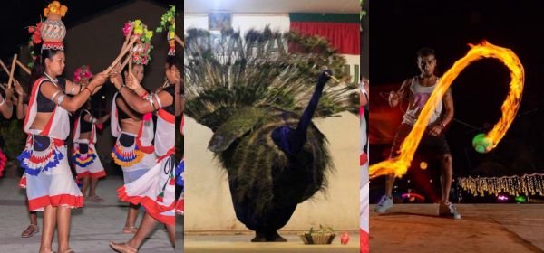 Tharu Cultural Program