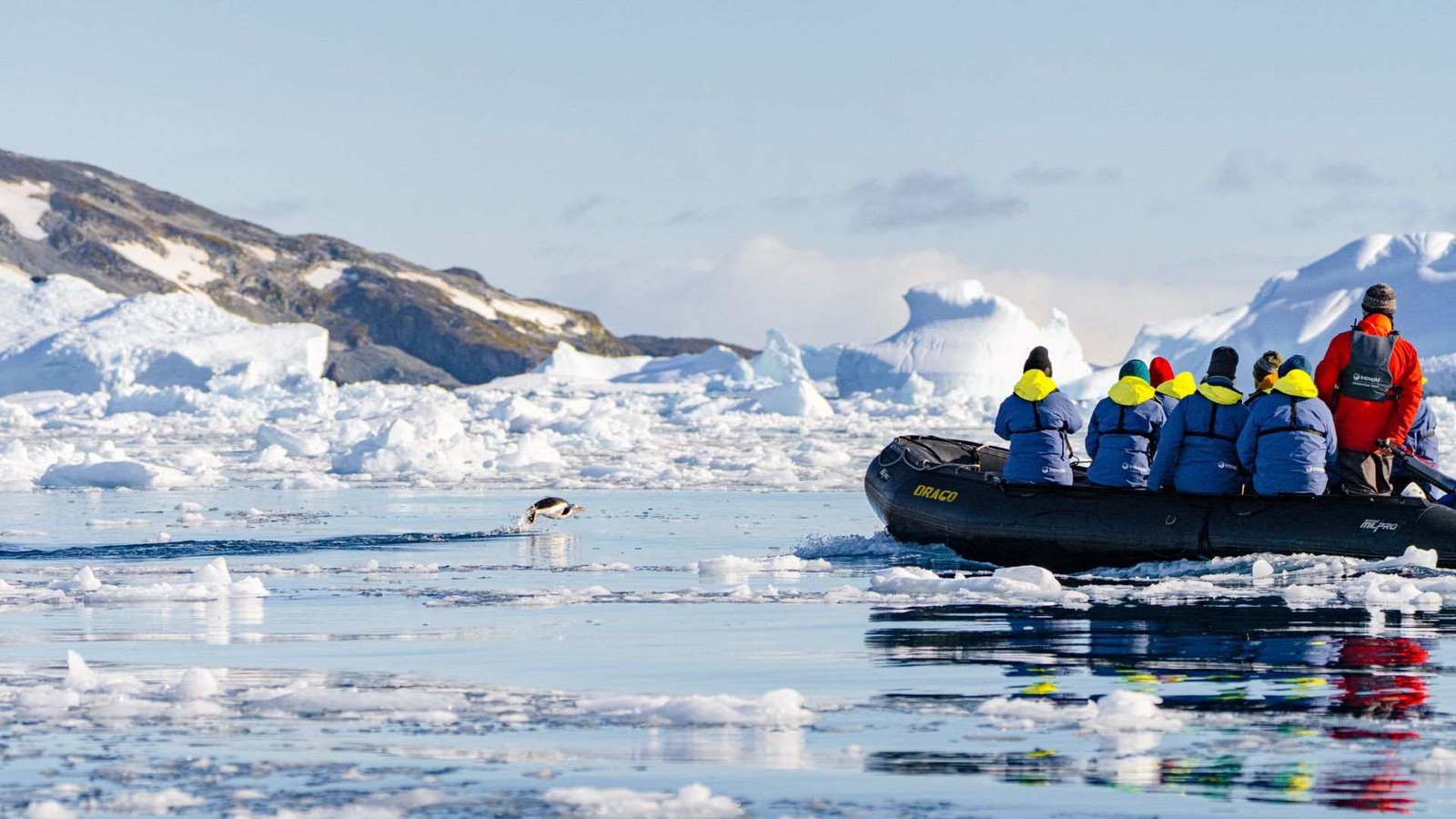 Antarctica: The coldest adventure with the warmest memories.