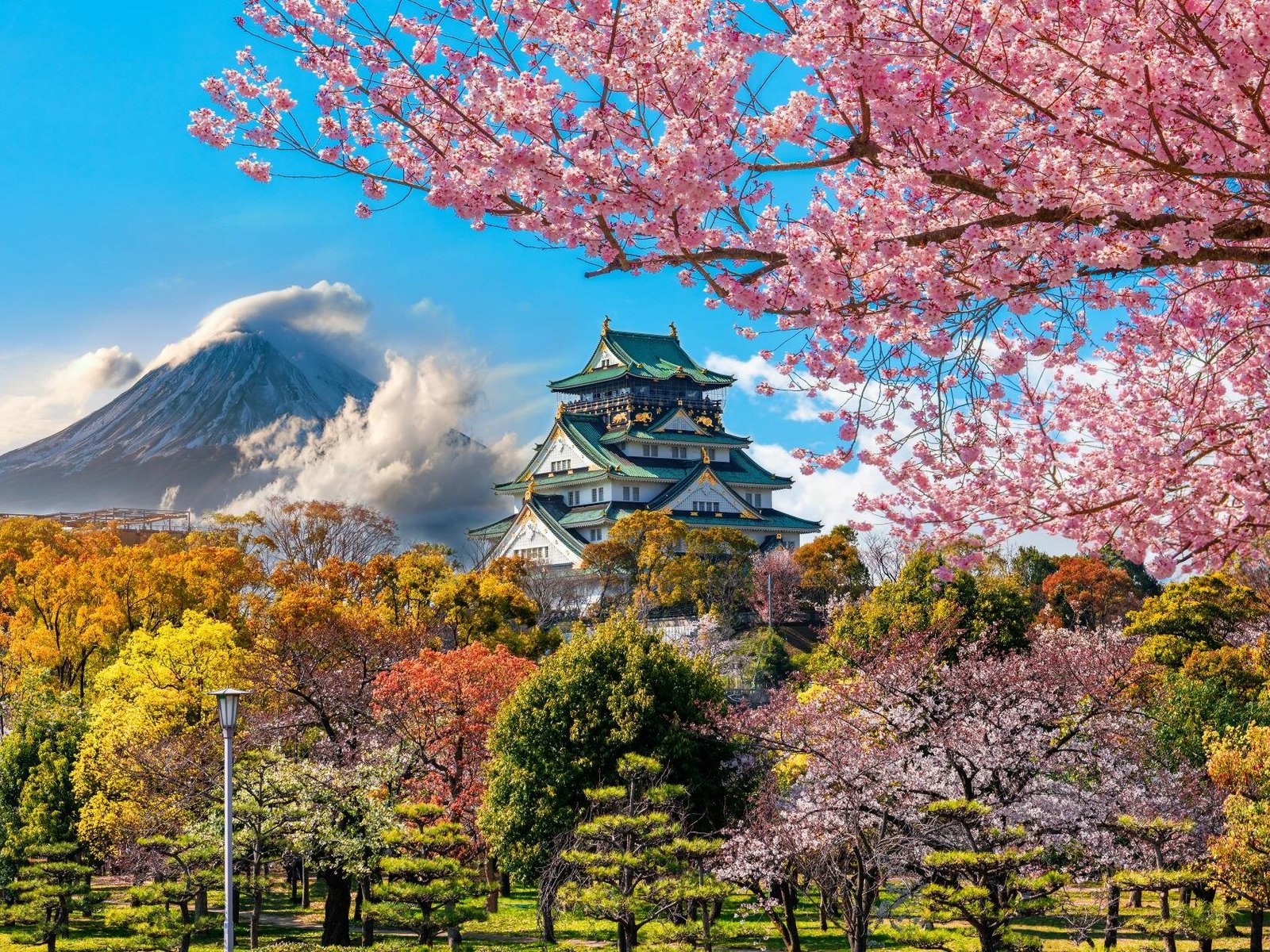 Not just travel. Tailored indulgence.